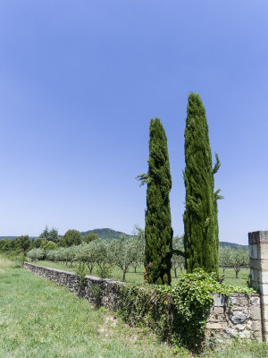 IMGP0176.jpg