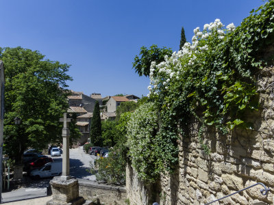 IMGP0152.jpg