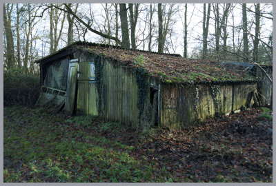 SAM_2005kopie.jpg