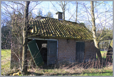 _MG_2723kopie.jpg