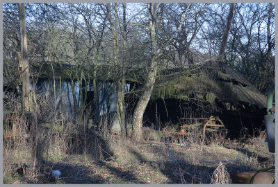_MG_2732kopie.jpg