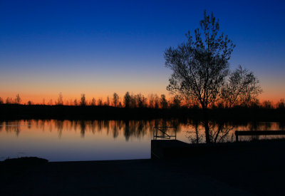 Bluegrass