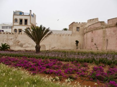 Medina Wall - Essaouira