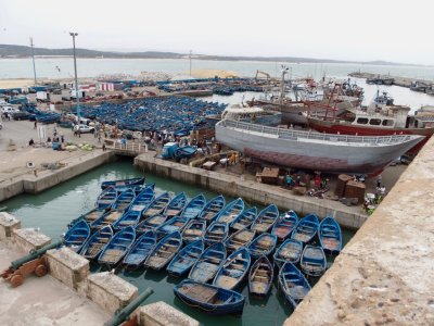 Essaouira Fishing Port