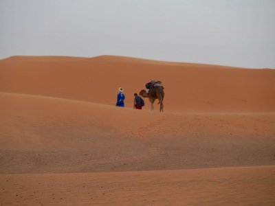 Walking through the desert