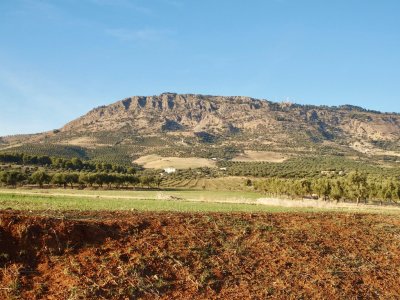 Mount Zalagh