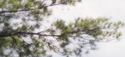 FE 35-2.8 at 2.8 UL Corner.jpg