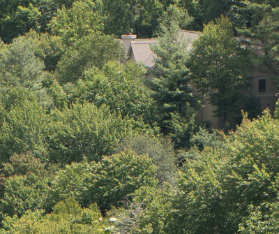 ZM 35-1.4 F4 Center.jpg