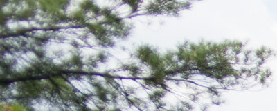 g9/91/505291/3/164015765.bGBJRjLc.jpg