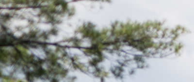 ZM 35-1.4 F4 UL Corner.jpg