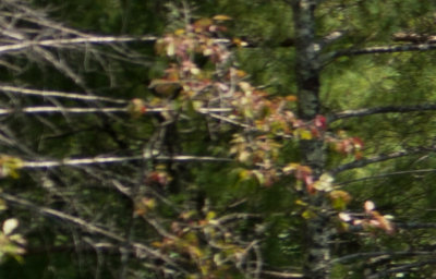 g9/91/505291/3/164015769.bnGHRoJb.jpg