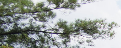 CV 35-1.2 F 8 UL Corner.jpg