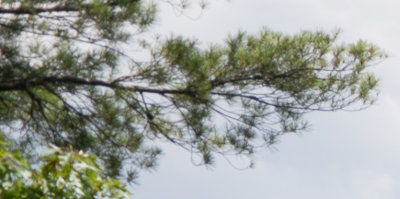 ZM 35-1.4 F8 UL Corner.jpg