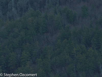 leicaextremelowerrightcorner3.jpg