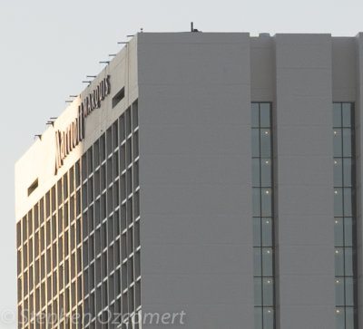 LoxiaF4marriott-0258.jpg