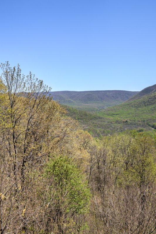 Ohiopyle State Park
