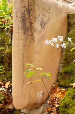 Fallingwater support beam laid into rock