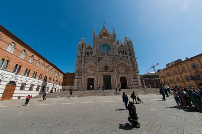 The Cathedral 
