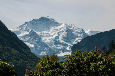 What a view, again.
