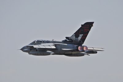 DSC_6302c.jpg