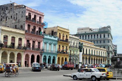 DSC_7919.JPG