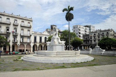 DSC_7921.JPG