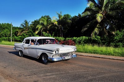 DSC_7333.JPG