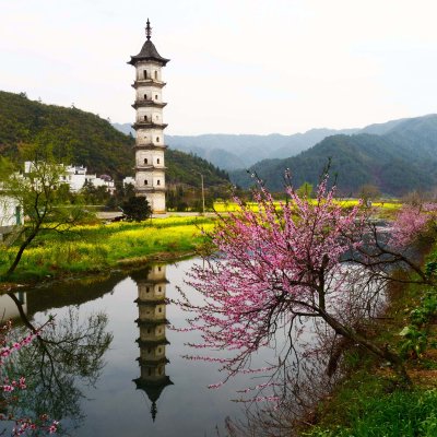Longtian Pagoda-DSC_0499.jpg