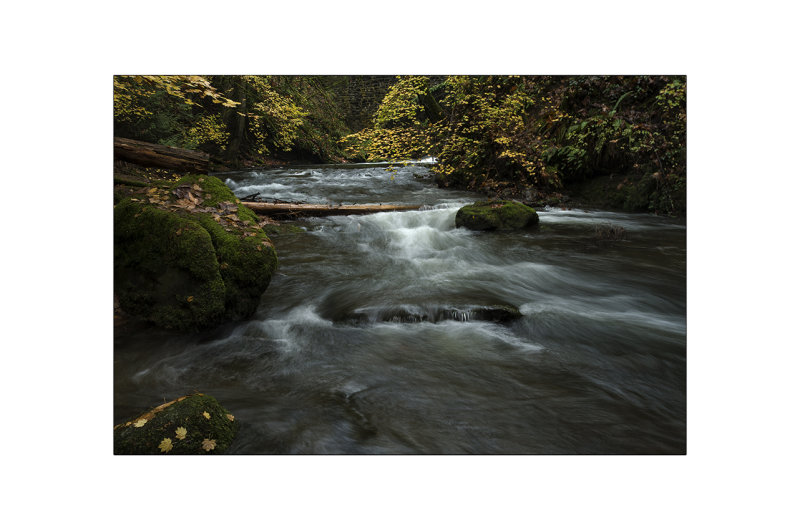 Roaring Creek