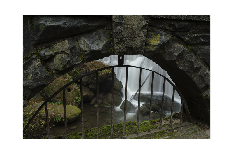 Window on the Falls