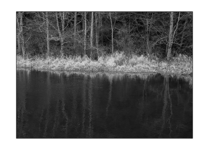 Creek Late Afternoon