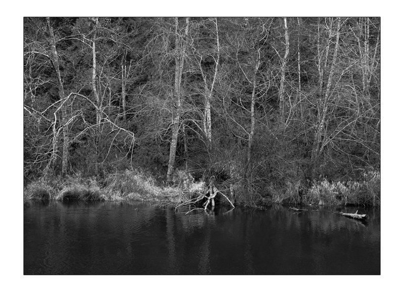 Creek