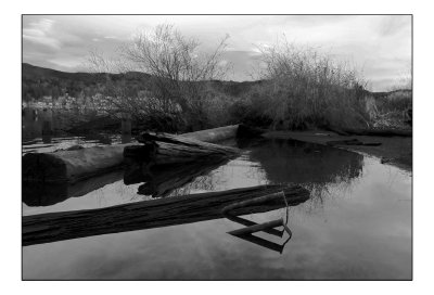 Pipe and Branch