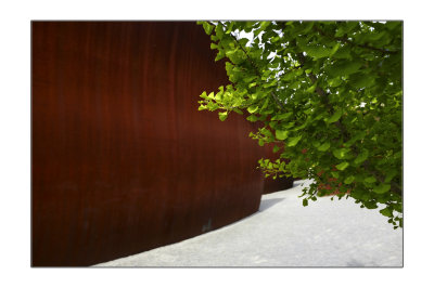 Richard Serra at SAM