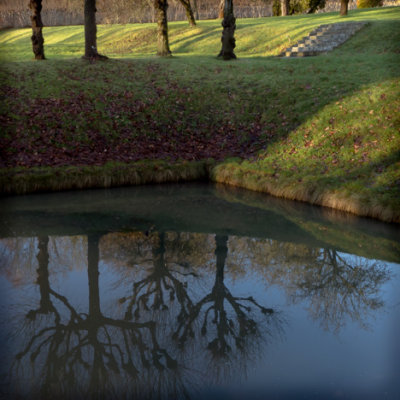 Fish pond.