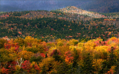 Autumn Colors 2009