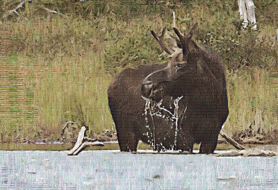 Bull Moose Painting