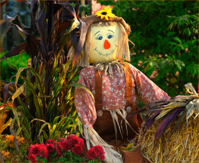 Scarecrow