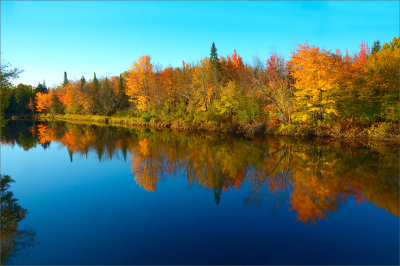 Reflections of Fall