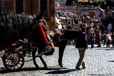 Piazza-di-Spagna.jpg