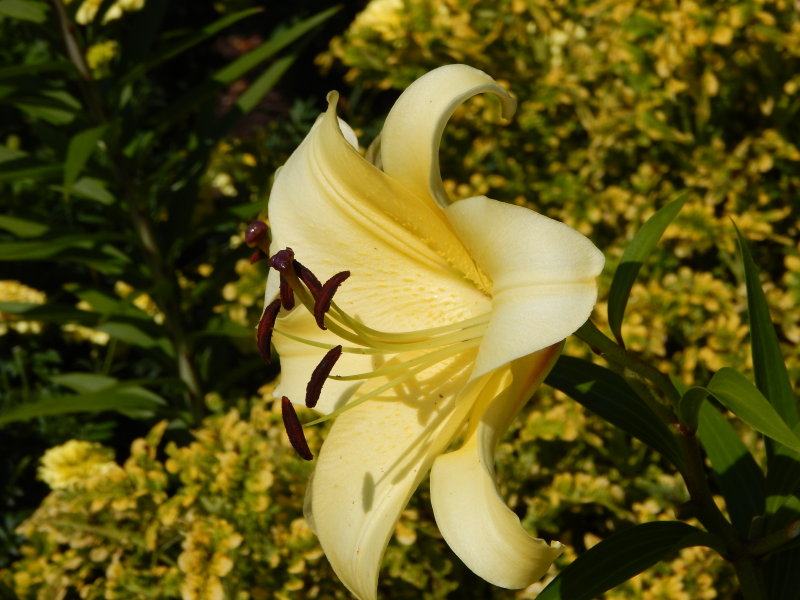 DSCN0705.JPG