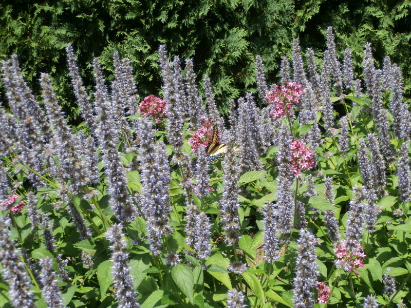 P8101210.JPG