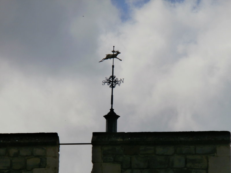 P9200155.JPG