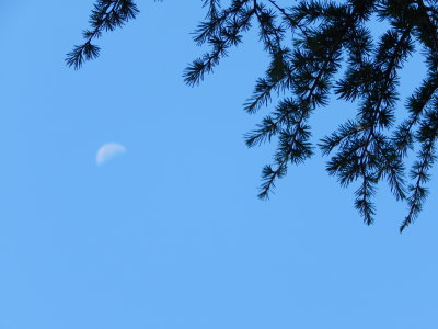 DSCN0122.JPG