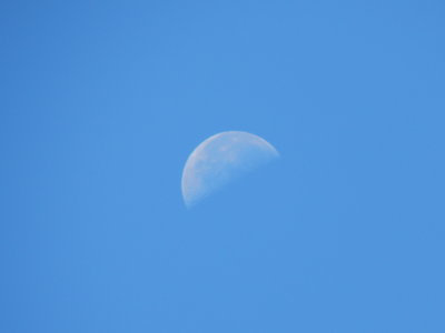 DSCN0123.JPG