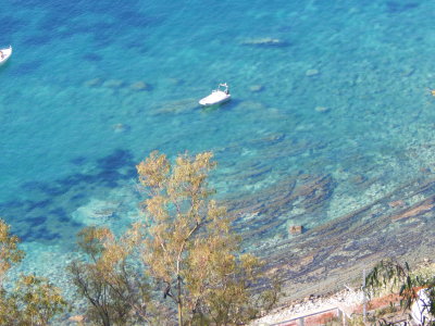 DSCN0126.JPG