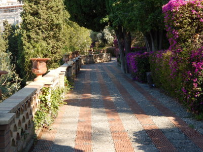 DSCN0131.JPG