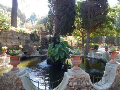 DSCN0139.JPG