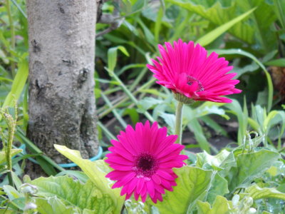DSCN0154.JPG