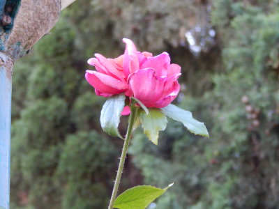 DSCN0155.JPG